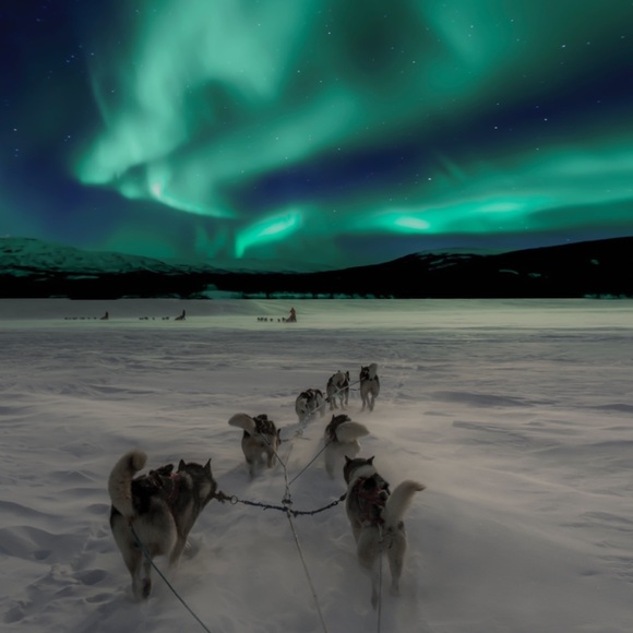 Greetings from the north. - Picture 1 of 1